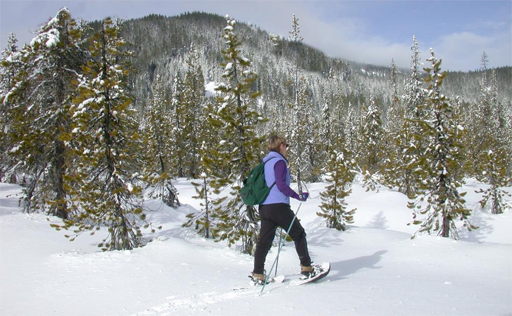 Snowshoing at Mt. Hood