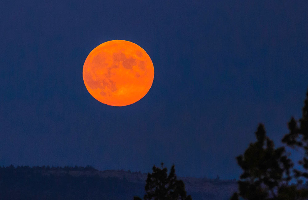 Harvest Super Moon