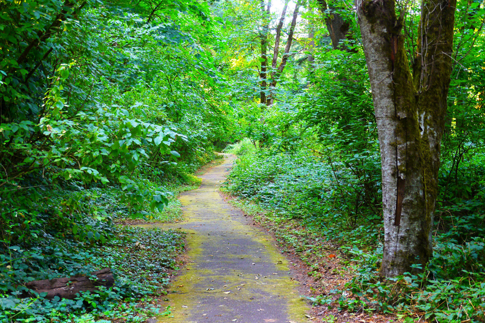 champoeg state park